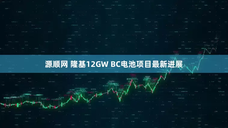 源顺网 隆基12GW BC电池项目最新进展