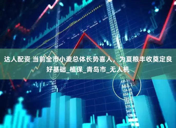 达人配资 当前全市小麦总体长势喜人，为夏粮丰收奠定良好基础_植保_青岛市_无人机