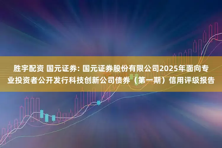 胜宇配资 国元证券: 国元证券股份有限公司2025年面向专业投资者公开发行科技创新公司债券（第一期）信用评级报告