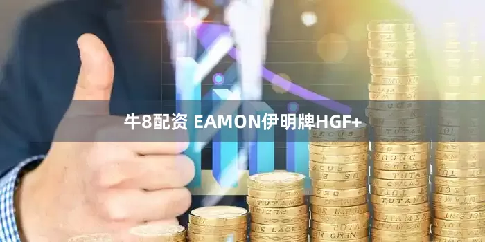 牛8配资 EAMON伊明牌HGF+