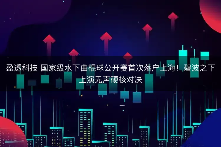 盈透科技 国家级水下曲棍球公开赛首次落户上海！碧波之下上演无声硬核对决